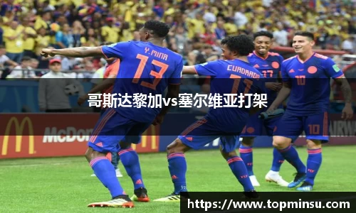 哥斯达黎加vs塞尔维亚打架