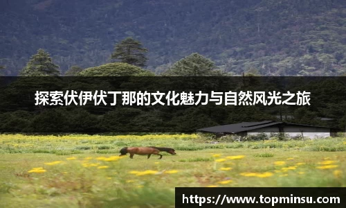 长征娱乐APP